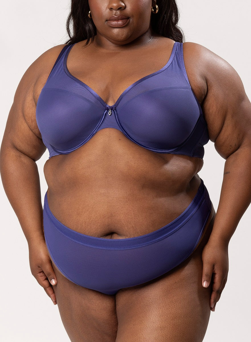 Curvy Couture Sheer Mesh Vintage Blue High Cut Thong Panty 1312