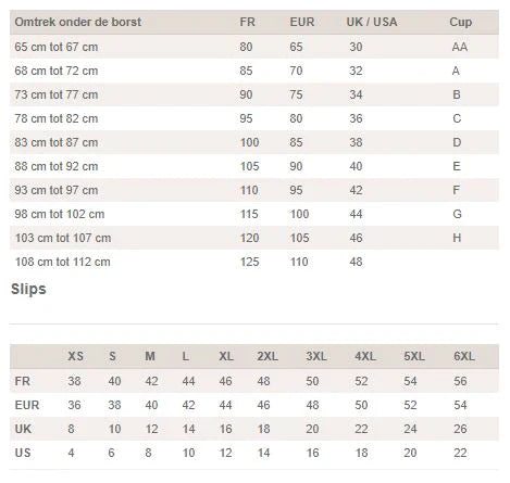 Elara – Transparante Plunge BH met Broderiebloemen