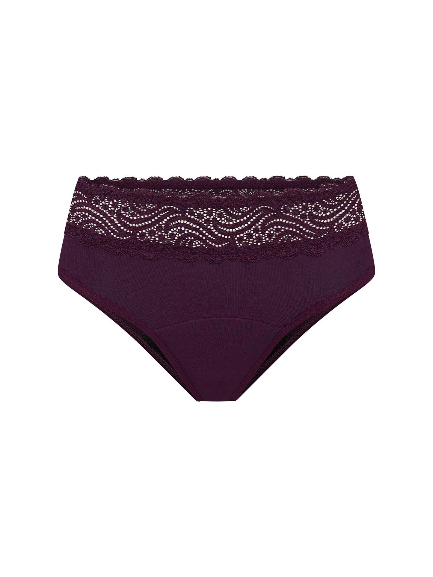 RAISE – High Waist Bikini Raisin Purple - LivingCurves Underwear Raisin Purple / 08/XS / Moderate