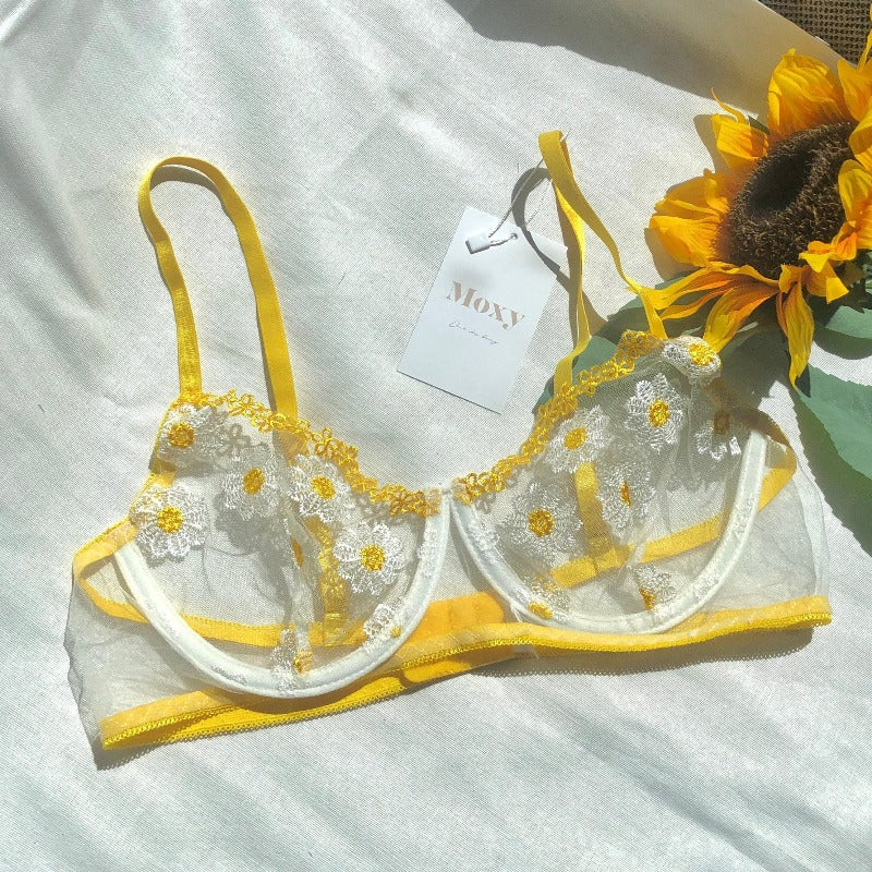 Embroidery Lingerie Collection