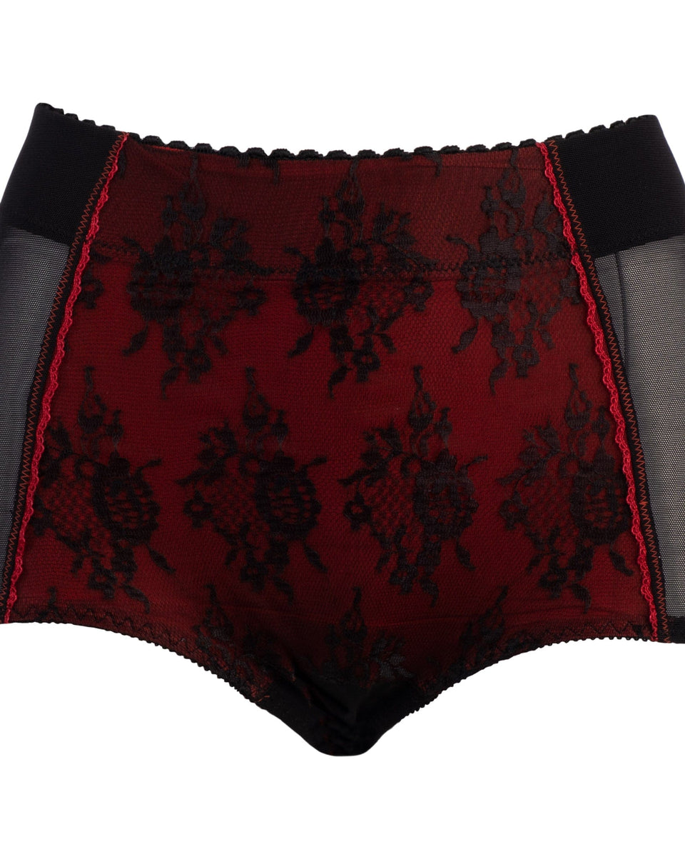 Style 4238 | Sheer Panty Brief