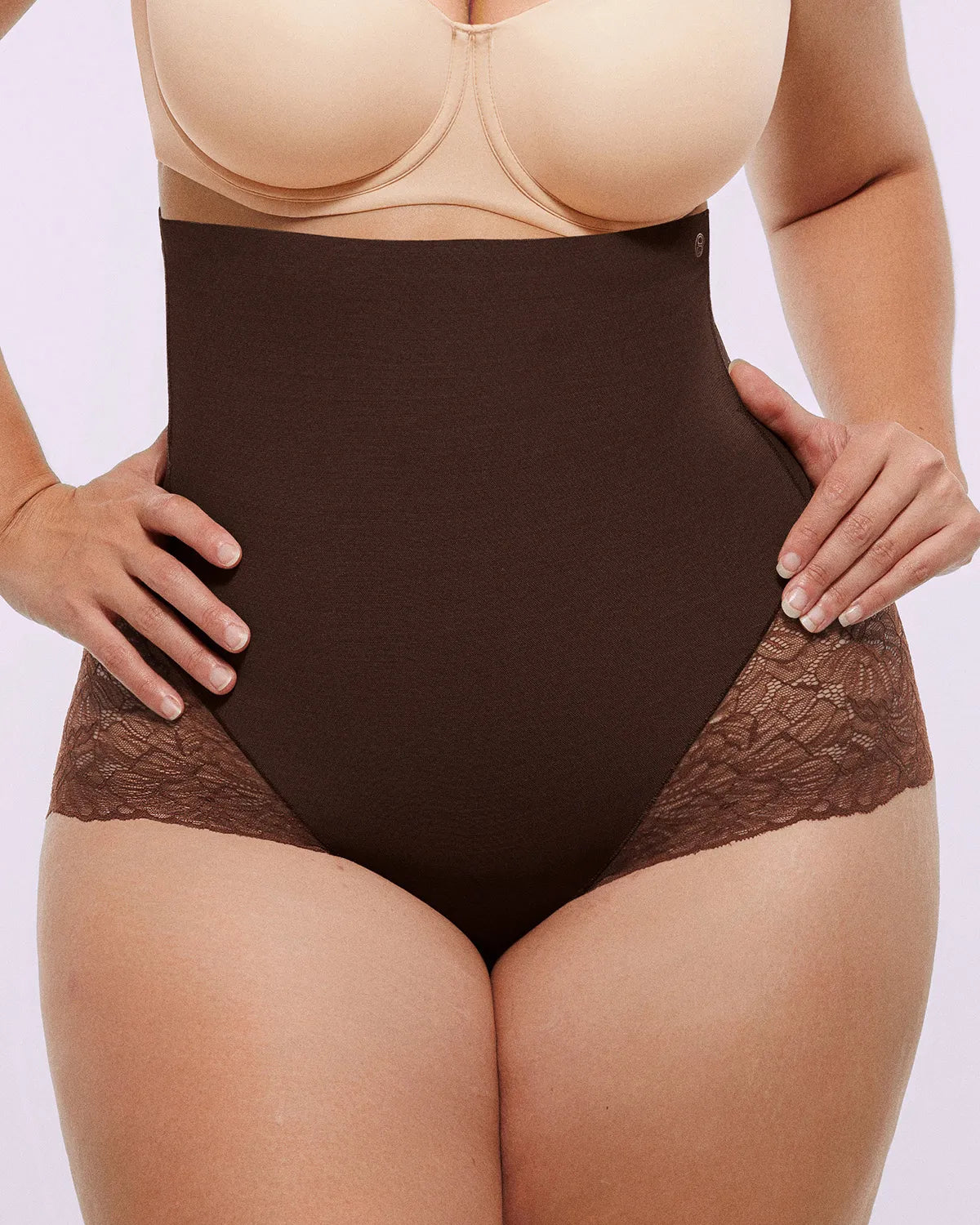 BARE ESSENTIALS – MeshSmooth High-Waist Lace Brief - LivingCurves shaper shorts Bruin / S