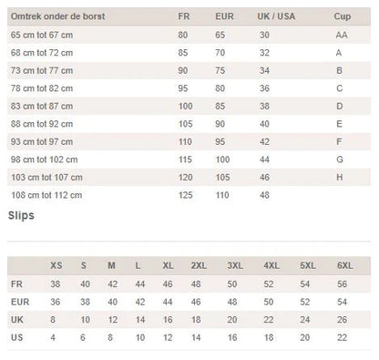 Elara – Transparante Plunge BH met Broderiebloemen