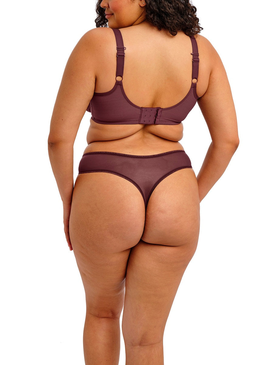 Elomi Matilda Sugarplum Thong Panty 8907