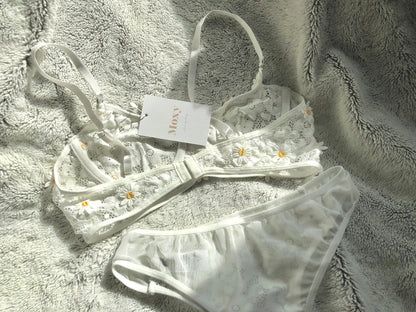 Embroidery Lingerie Collection