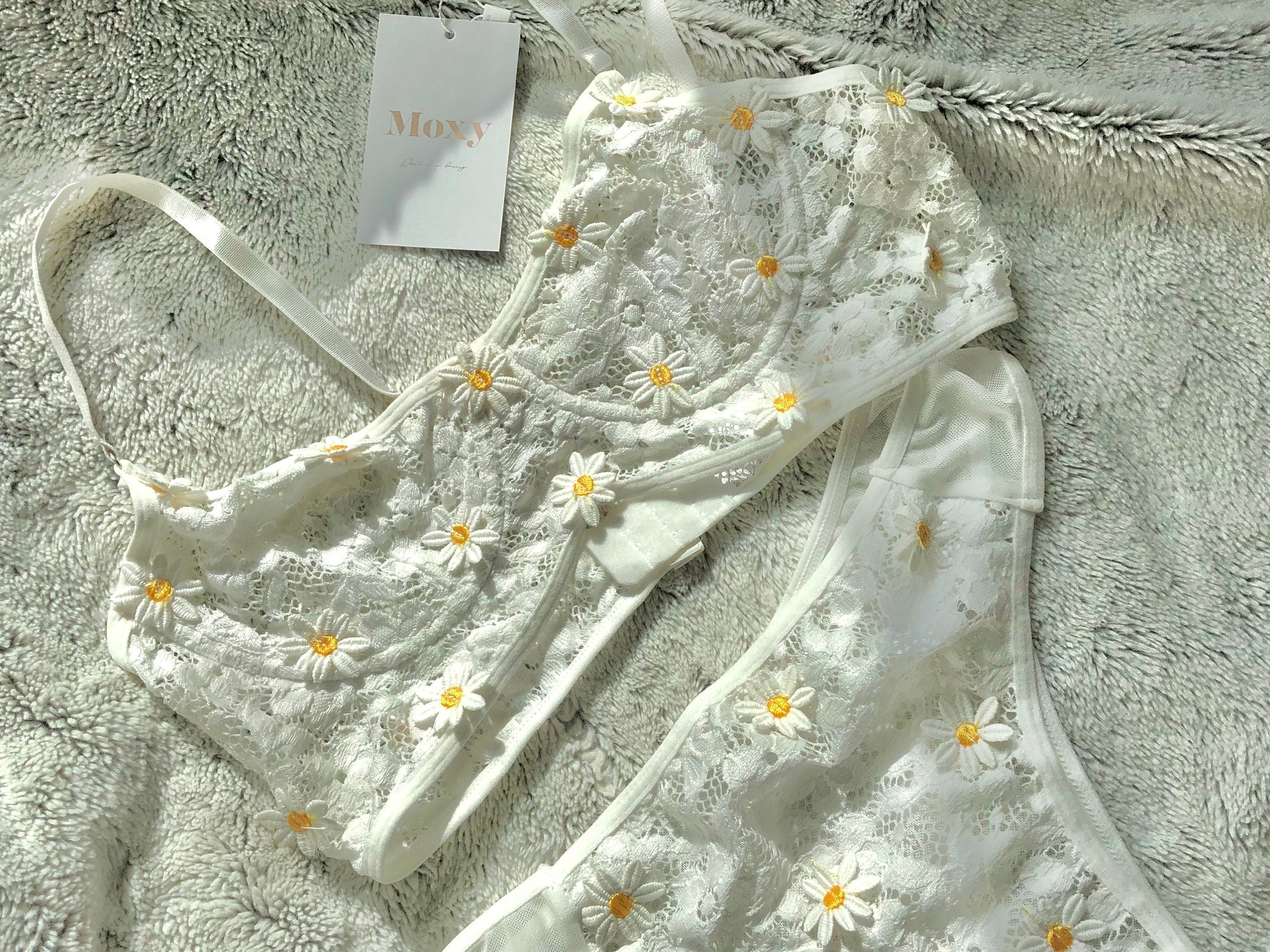 Embroidery Lingerie Collection